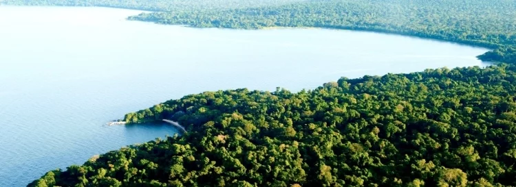 Health, History, and Legend