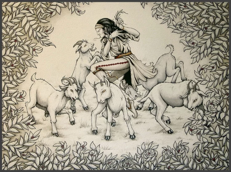 Organic Coffee Farming In Mexico – The Struggle For Fairness