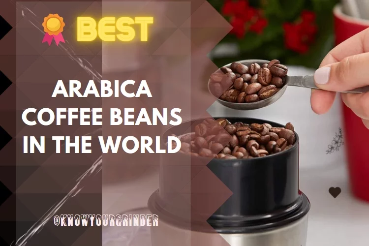 Best Arabica Coffee Beans in the World: Reviews, Buying Guide and FAQs