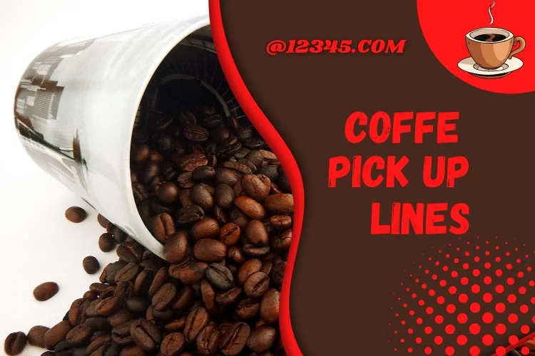 Top Coffee Maker Grinder Combos in 2022 by Editors