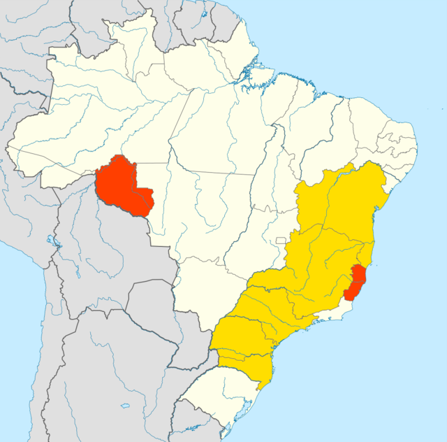 Brazilian Coffee Growth