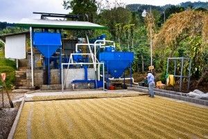 Where Is The Best Coffee From