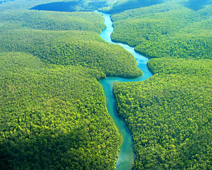 Best Peruvian Coffee