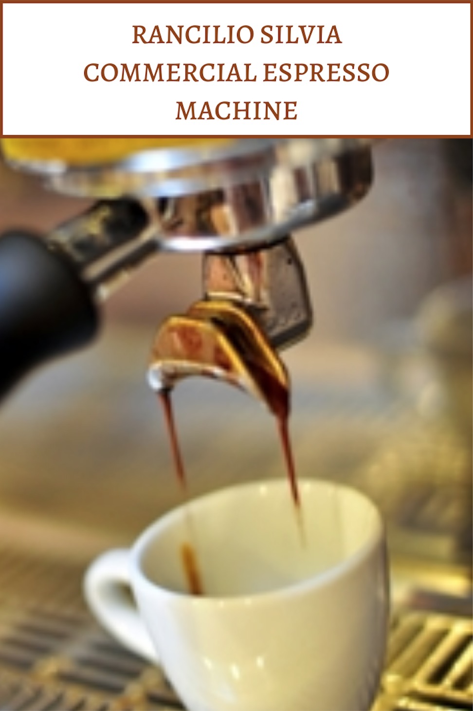 Rancilio Silvia Espresso Machine Review