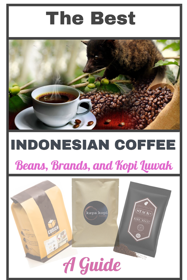 Best Indonesian Coffee – Beans, Brands, and Kopi Luwak