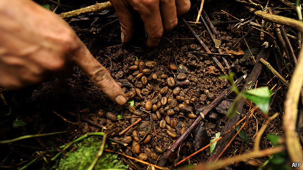 Vietnamese Coffee History, Types, And Production