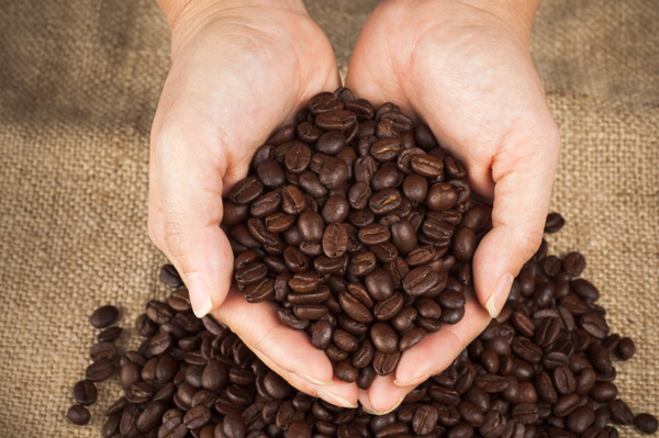 Coffee Roasts Explained – The Ultimate Guide For Understanding Coffee Beans